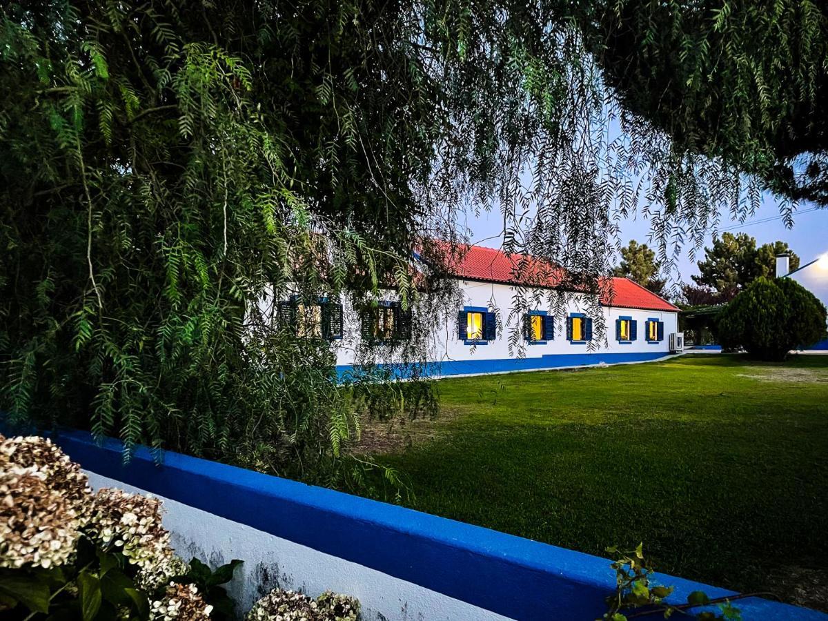 Quinta Do Cutato - Beatriz Guest House - Sotao Santo Estevao  Ngoại thất bức ảnh