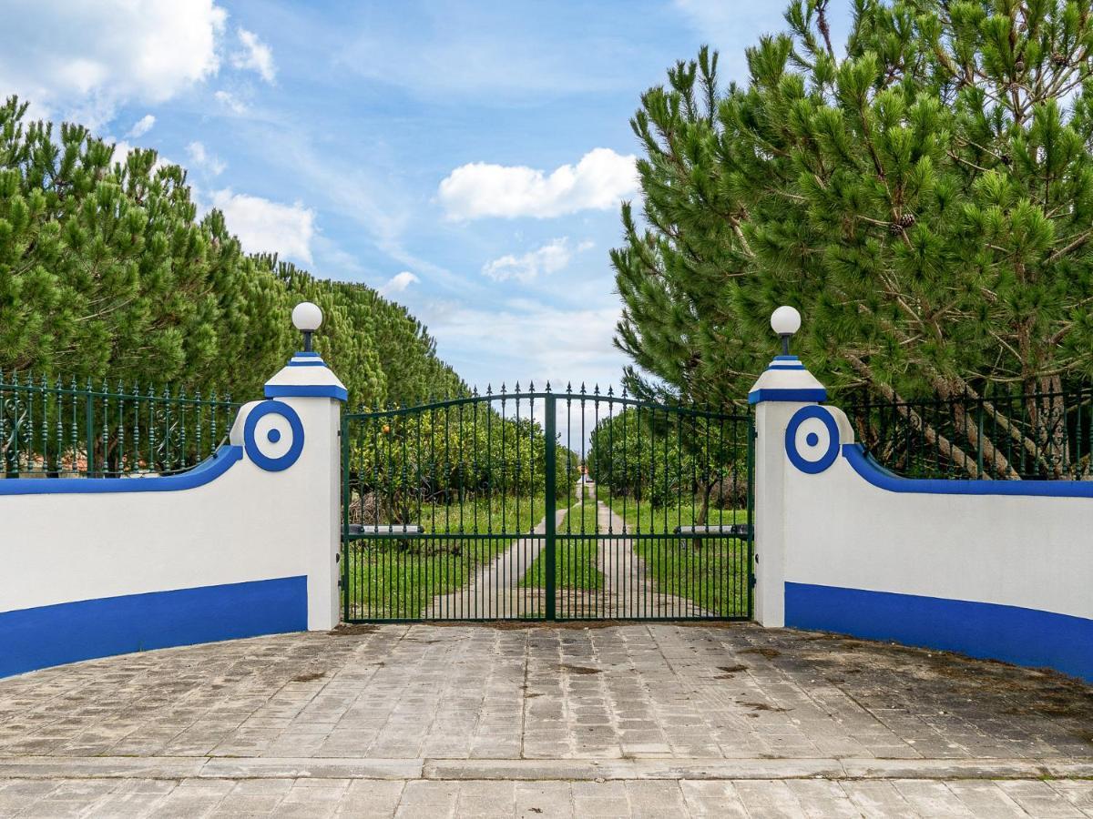 Quinta Do Cutato - Beatriz Guest House - Sotao Santo Estevao  Ngoại thất bức ảnh